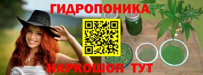 твердый Берёзовский