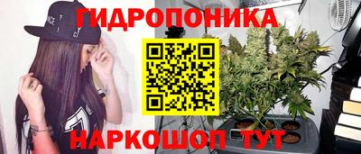 apvp Беслан
