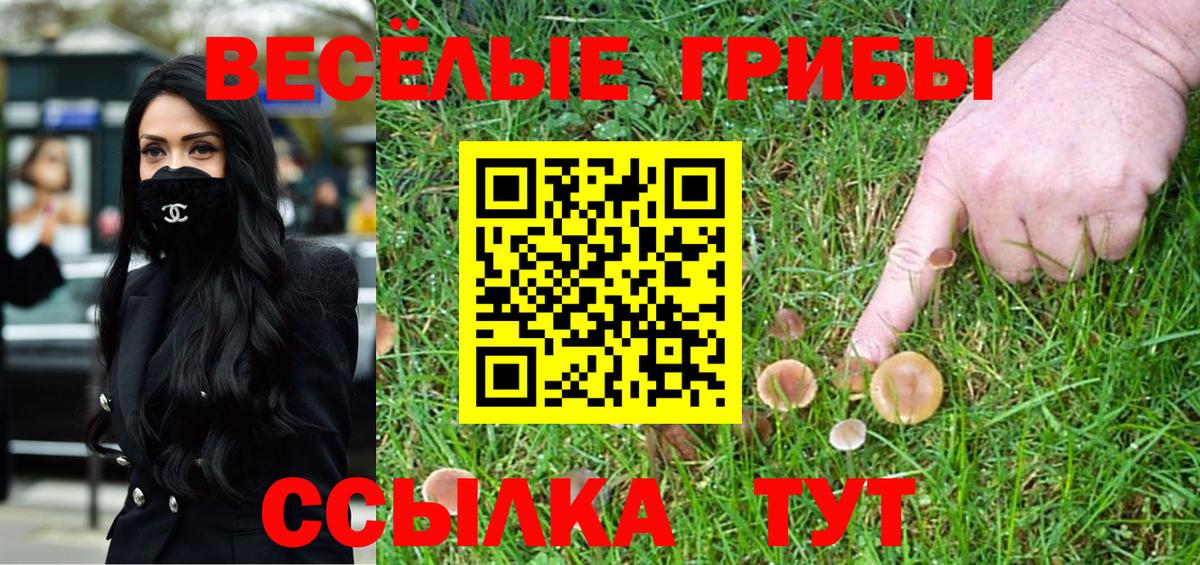 магазин продажи   Вход с VPN  Асино  Псилоцибиновые грибы MAGIC MUSHROOMS  Псилоцибиновые грибы прущие грибы 